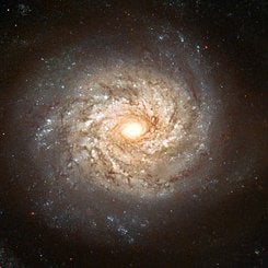 Spiral Galaxy NGC 3982 Before Supernova