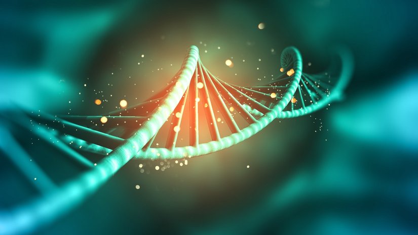 Temel Genetik Kavramlar: Nükleotit, DNA, Gen, Kromozom Nedir?