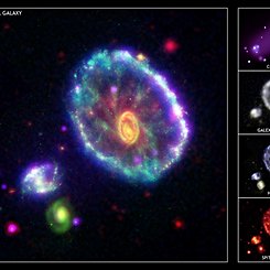 Cartwheel of Fortune