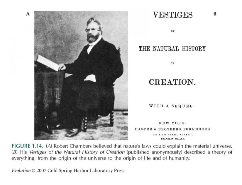 Robert Chambers ve önemli değişimlerin tetikleyicisi olacak olan kitabı...