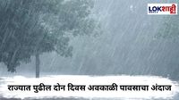 Maharashtra Rain : राज्यात अवकाळी पावसाचे संकट; अनेक जिल्ह्यात पावसाचा यलो अलर्ट