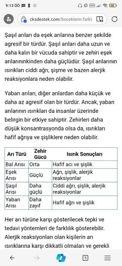 Şaşıl arısı nedir bu bal arısı türü hakkında bilgi sahibi olan varmı. Türü cinsi resmi yaşam alanı gibi konular da bana bilgi verir misiniz?