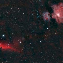 Horsehead and Orion Nebulae