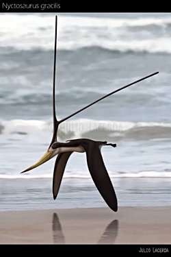 Küçük pterosaur'lar nasıl yok oldu?