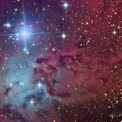 The Fox Fur Nebula