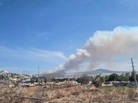 Se registra incendio en zona cerril en El Marqués