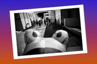 Inside the Portland “War Zone”