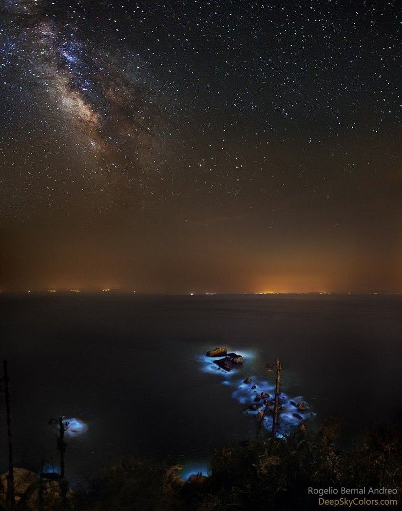 Bu fotoğraf, Tayvan'daki Nangan Adası'nda çekildi. Fotoğrafta kayaların etrafında biriken Noctiluca scintillans türü biyolüminesan (ışık saçan) dinoflagellaların mavi renki ışığı gözüküyor. Halk arasında "deniz ışıltısı", "yakamoz" ya da "mavi gözyaşı" olarak bilinen bu canlılara, uçsuz bucaksız Samanyolu Galaksisi eşlik ediyor. Uzakta Çin'in ışıkları görülebiliyor.