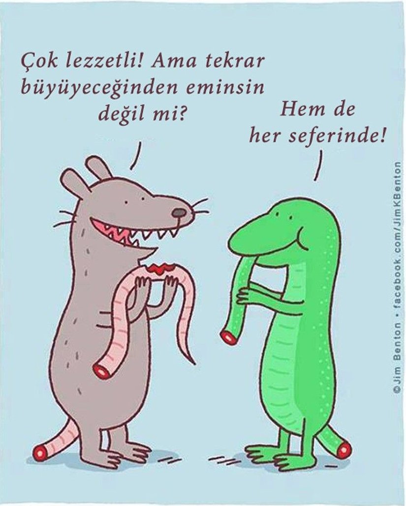 Hayvanlarda organ yenilenmesine eğlenceli bir bakış...