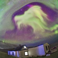 Goat Aurora Over Greenland