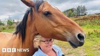 'We're a forever home for the animals no-one else can take'