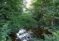 Want to help CVNP during staff shortages and funding threats? Here's how