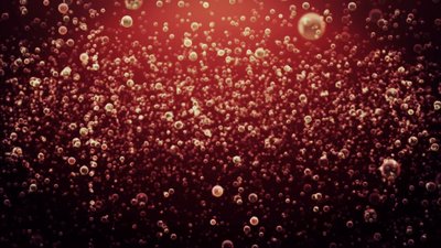 Gazlı İçeceklere ve Etkilerine Bilimsel Bir Bakış...