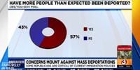 Concerns mount against President Trump's mass deportation policies