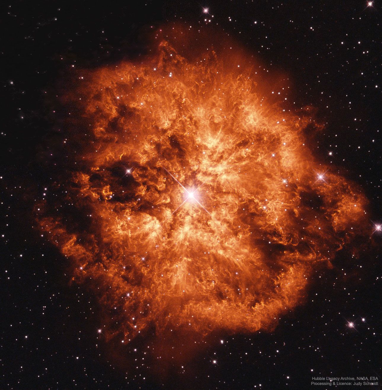  Wolf-Rayet Star 124: Stellar Wind Machine 