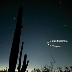 Yengeç'in Şafağı