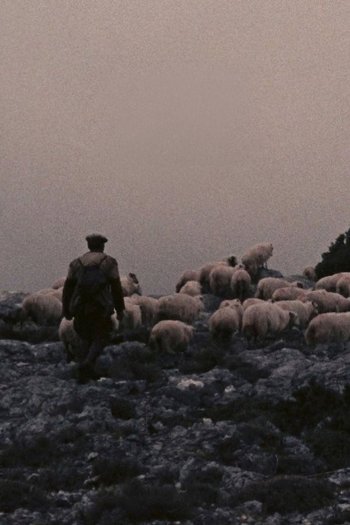 Pastori di Orgosolo