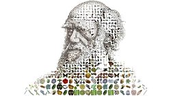 Evrim Hakkında 10 Önemli Soru