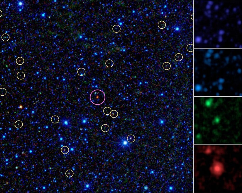 Seçili pembe bölge Dyson küresinin olabileceği potansiyeli yönünde