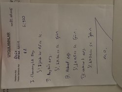 Kedim Aşılardan Sonra Aniden Saldırganlaştı, Sebebi Ne Olabilir?