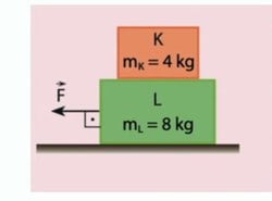 L cismi için çizilen serbest cisim diyagramında neden sadece L'nin kütlesi alınır?