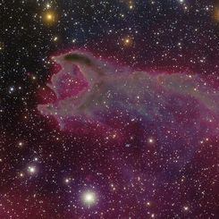 CG4: A Ruptured Cometary Globule