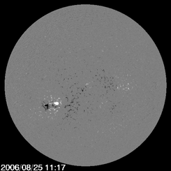 A Backward Sunspot and the New Solar Cycle