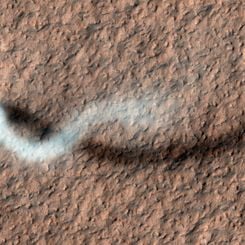 A Dust Devil of Mars