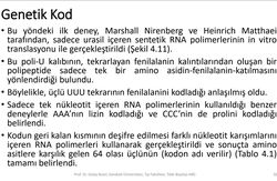 Amino asitlerin yapısı nasıl öğreniliyor?