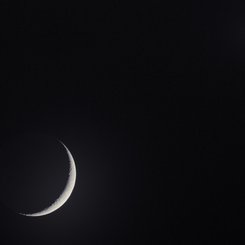 Crescent Moon and Venus