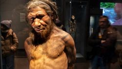 Neandertallerin Nesli İzole Yaşam Stilleri Nedeniyle Tükenmiş Olabilir!