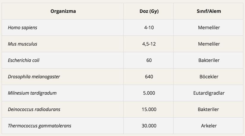 Ölümcül radyasyon dozları.