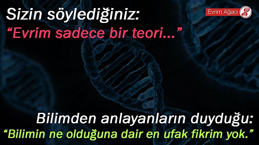 Heç vaxt unutmayın: Elm və ya kainat haqqında bir şey başa düşmədiyiniz, anlamadığınız o şeyin gerçək olmadığı mənasına gəlmir. Bu o deməkdir ki, siz bu mövzudan xəbərsizsizsiniz. Buna görə də, hələ ən təməl elmi terminologiya ilə bağlı biliklərdən xəbərsizsinizsə, Təkamül nəzəriyyəsi, Kvant nəzəriyyəsi, Big Bang nəzəriyyəsi və s. Kimi nəhəng nəzəriyyələri və detallı elmi nəzəriyyələri cılızlaşdırmağa çalışdığınız zaman, elmi deyil, öz intellektual varlığınızı ayaqlar altına almış olurunuz. Etməyin.
