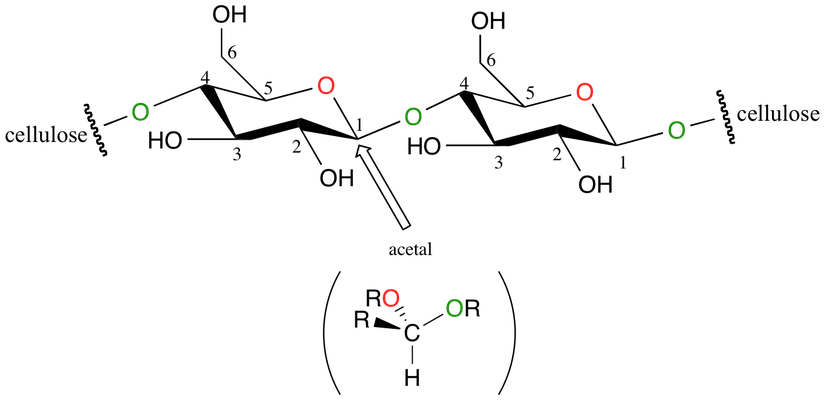 Beta Asetal Bağları