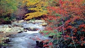 Local Coalition Keeps Smoky Mountains Park Open Amid Shutdown