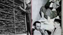 ”Lanetli ekmek hadisesi” fr. ( l'affarie du pain maudit)