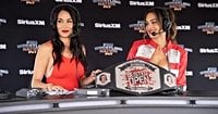 Brie Bella Makes Surprise WWE Return at Royal Rumble With Twin Nikki