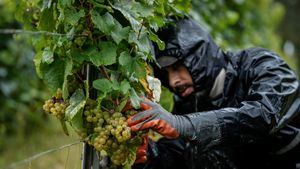 France Faces Significant Weather Shifts This Week