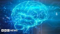BBC News quiz of the week: What age did scientists say your brain reaches adulthood?