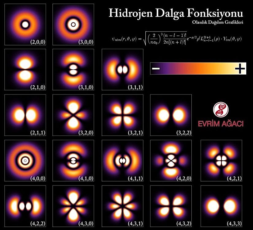Görselde bir Hidrojen atomunun etrafındaki elektron dağılımı olasılıkları görülmektedir. Görselde daha kırmızı olan alanlar, bir elektronun bulunma ihtimalinin daha yüksek olduğu bölgelerdir. Bu olasılık dağılımları, Schrödinger'in Denklemi'nin çözümü sayesinde tespit edilebilmektedir.