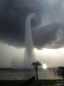 Florida’da Bir Hortum