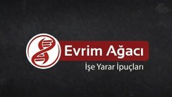 En Tehlikeli Veri İhlali Kendi Ellerinizle Yazdığınızdır!