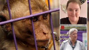 Women Sentenced For Disturbing Role In Monkey Torture Ring