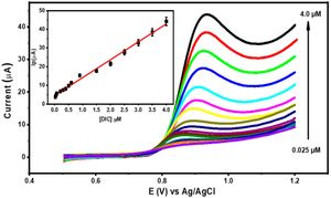 New Magnetic Nanocomposite Efficiently Removes Ciprofloxacin From Water