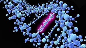 Mutasyonların Evrime Etkisinin Matematiği