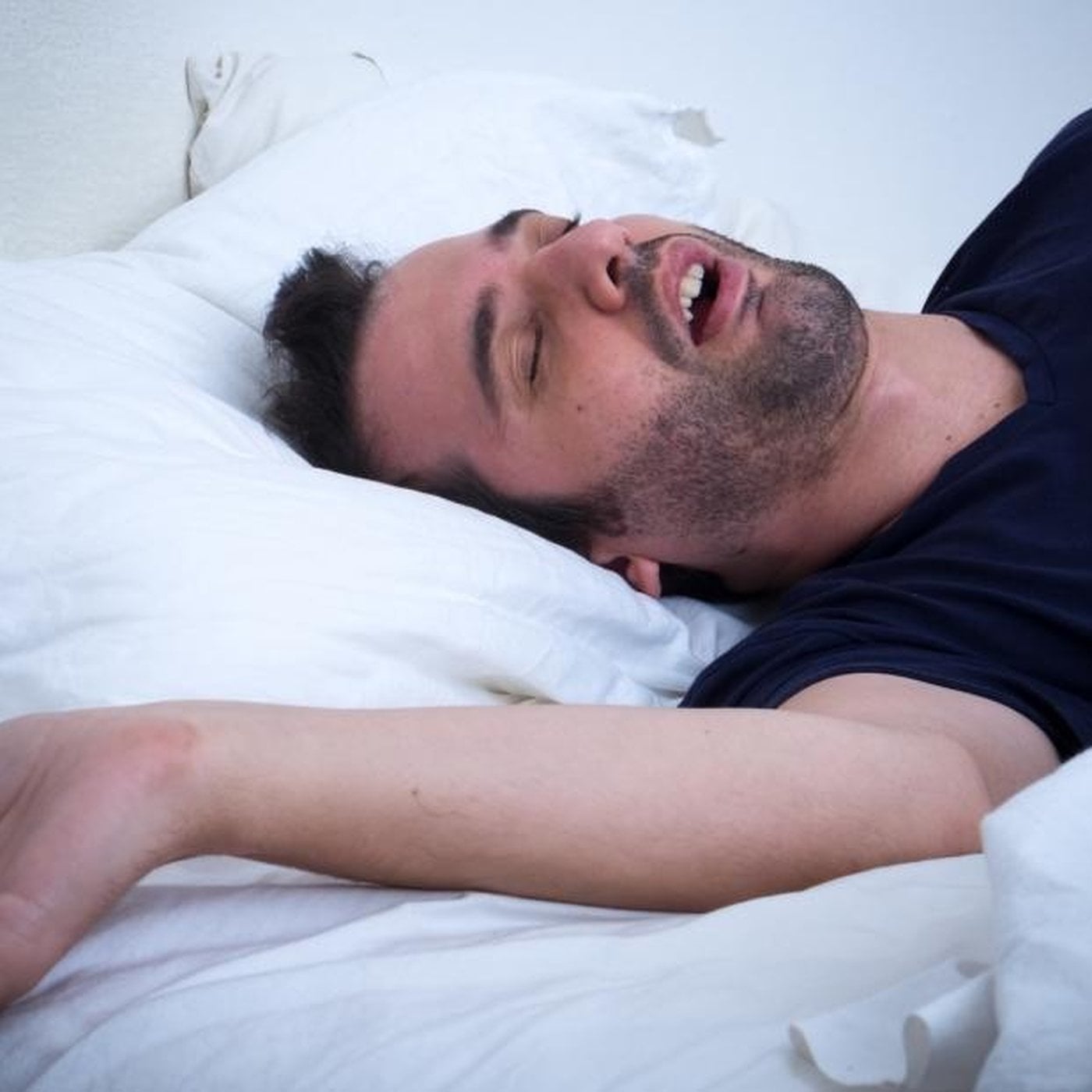 Evrim Ağacı ile Bilime Dair Her Şey!