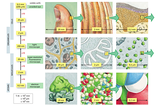 Boyut karşılaştırması