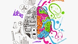 Sol Yarım Kürede Bağlantı Artışına Bağlı Sağ Beyin Asimetrisi