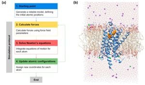 New Insights Into GPCR Dynamics Reveal Potential Drug Targets