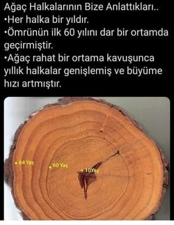 Bu fotoğrafta yer alan bilgiler doğru mu?